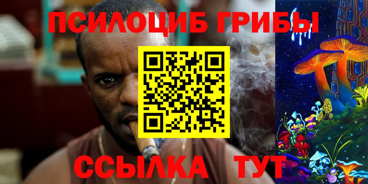 Псилоцибиновые грибы Psilocybine cubensis Тихвин