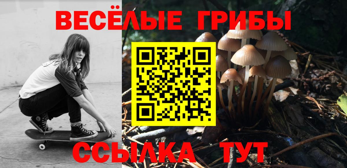 Тихвин  Псилоцибиновые грибы мухоморы  Вход с VPN 